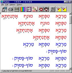 screen image